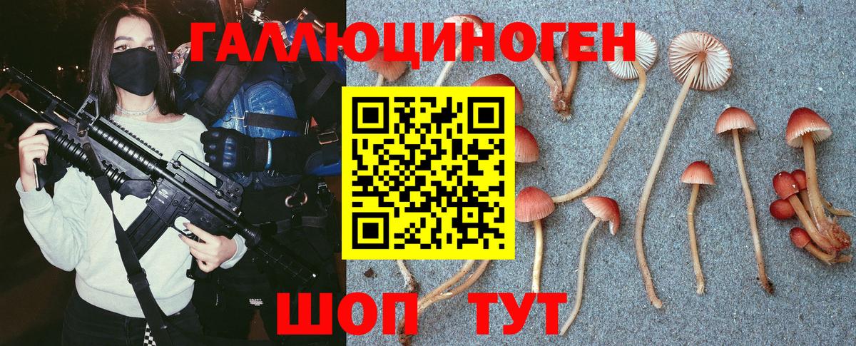 Псилоцибиновые грибы мицелий  Галлюциногенные грибы мухоморы  Вход с VPN  Хабаровск 