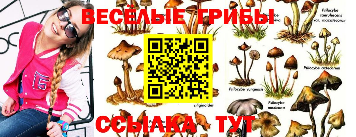 Псилоцибиновые грибы Magic Shrooms Хабаровск